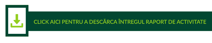 Raport de activitate